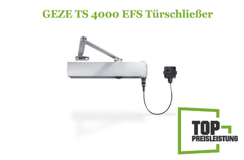 Chiudiporta geze 4000 efs - ts,